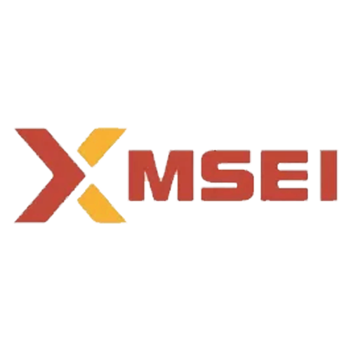 Metropolitan Stock Exchange (MSEI)